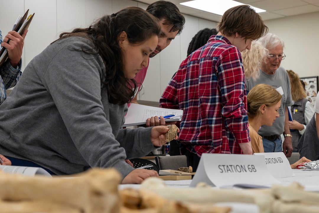 Old bones come alive at Rice archaeology workshop | Rice News | News